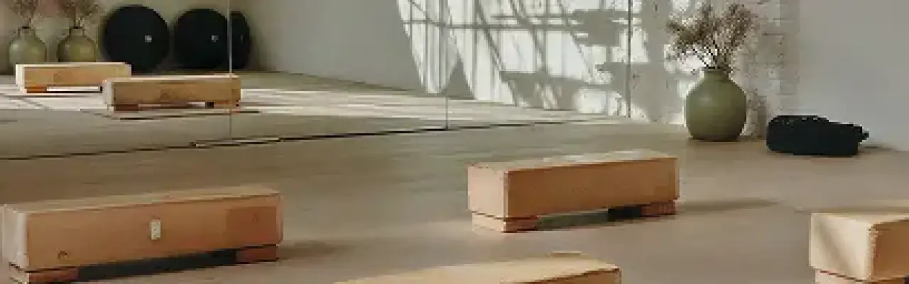 Superbes voitures électriques de 2024